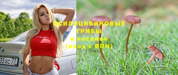 синтетический гашиш Протвино